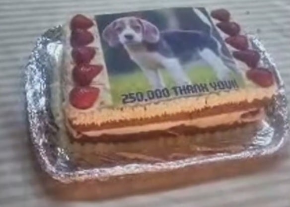 250,000 Cake