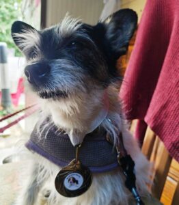 Freddie with his medal