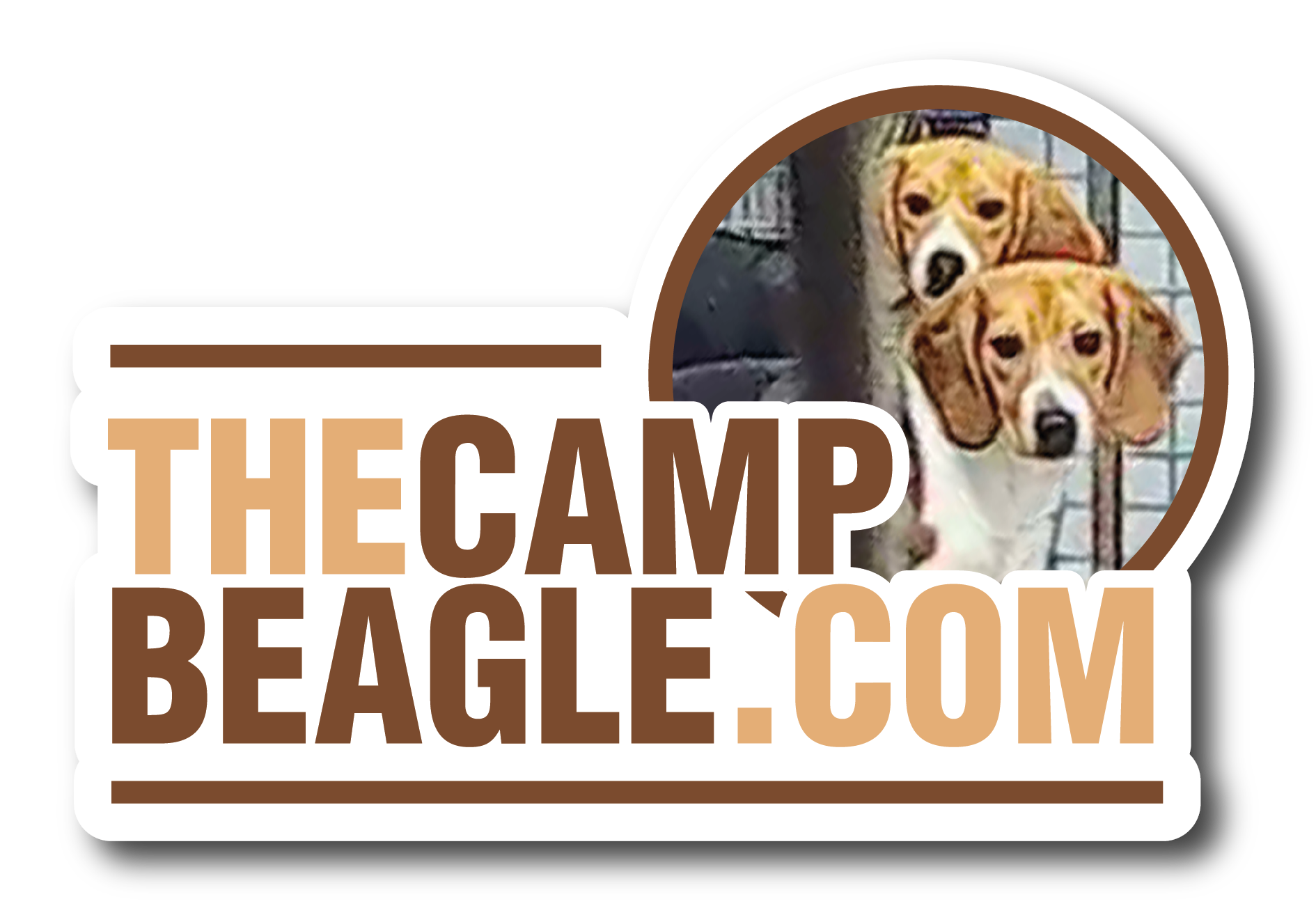 Camp Beagle