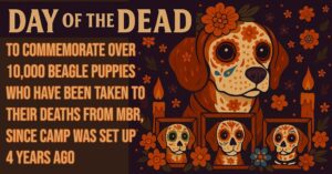 Day Of The Dead