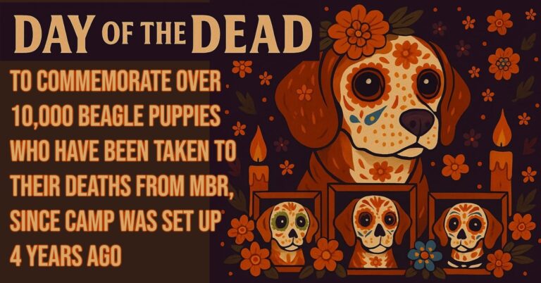 Day Of The Dead