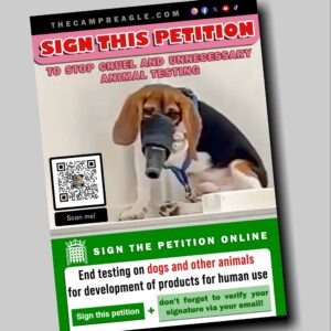 Petition Leaflets - 100 pack