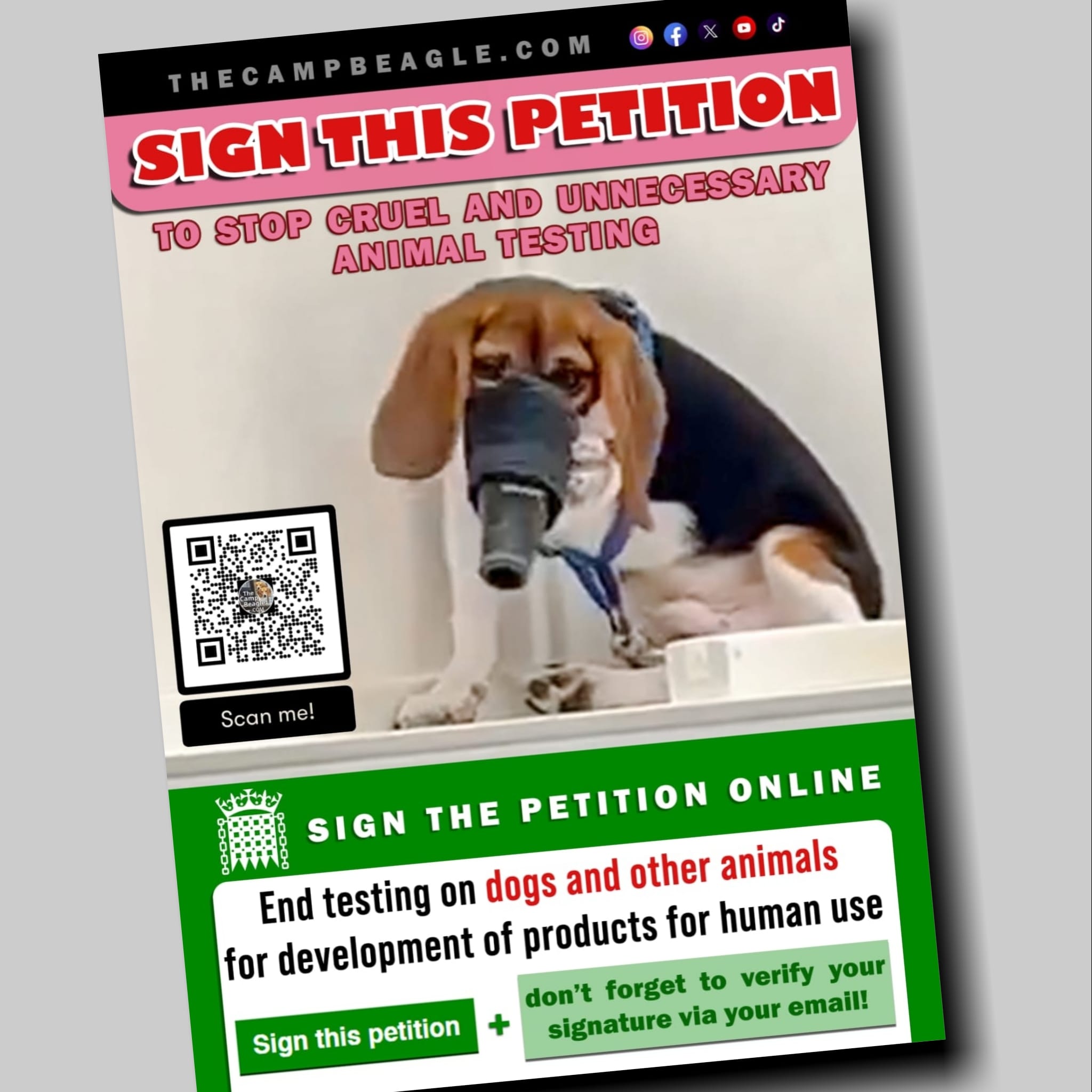 Petition Leaflets - 100 pack