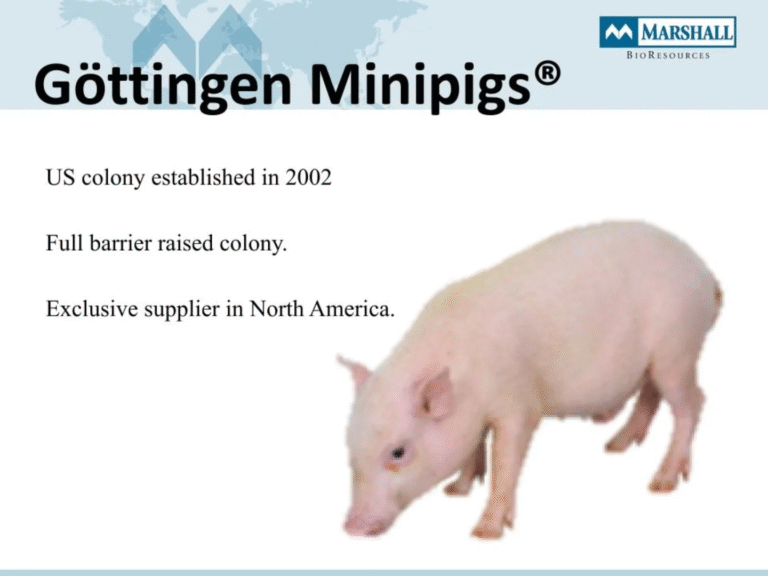 More Leaked Documents 10