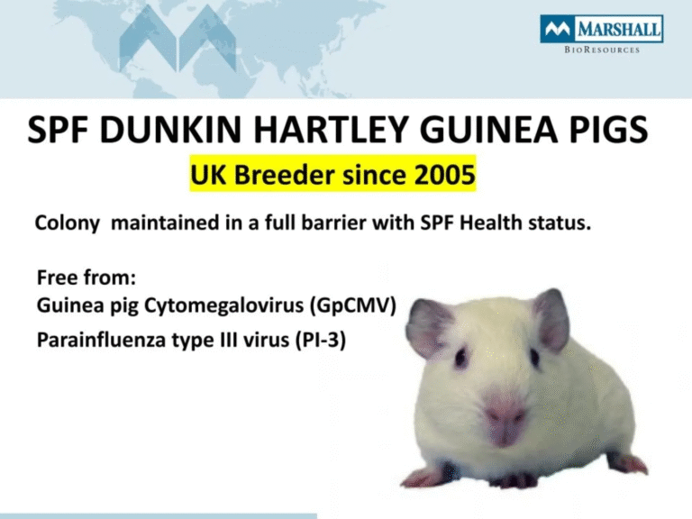 More Leaked Documents 11