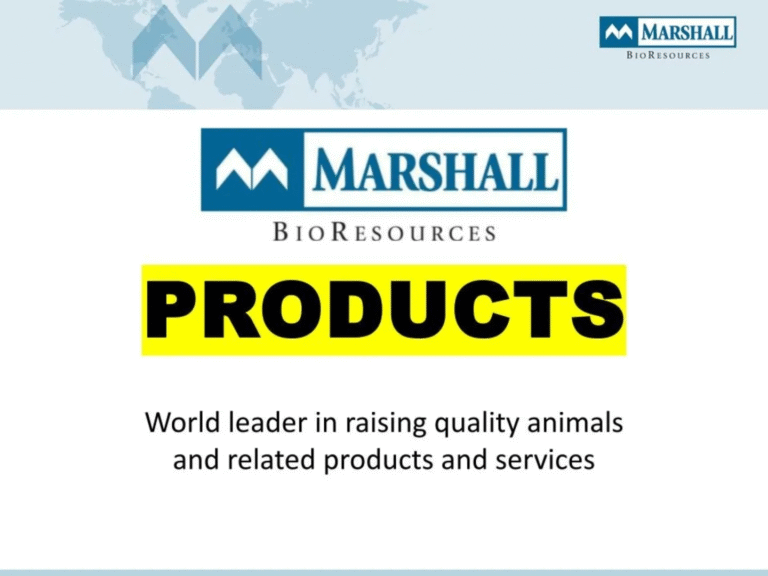 More Leaked Documents 2