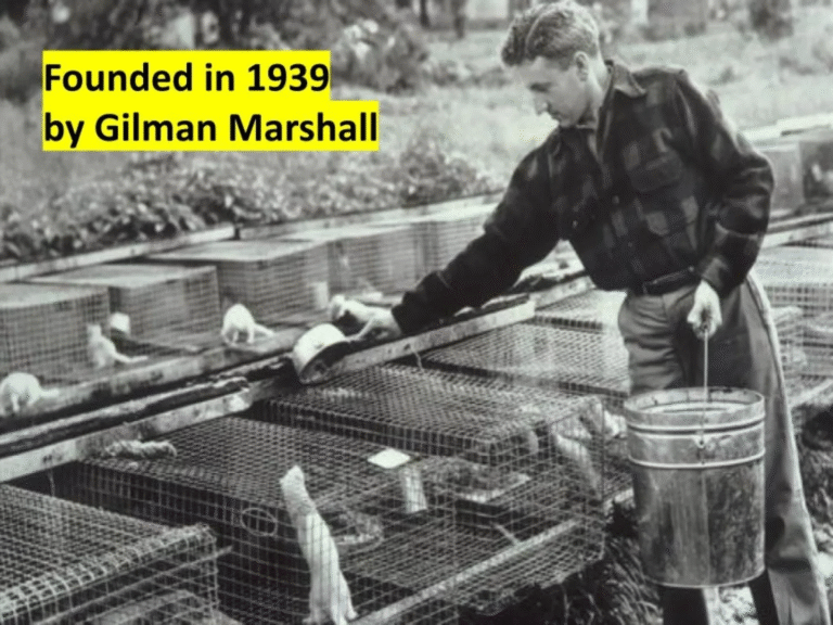 More Leaked Documents 3