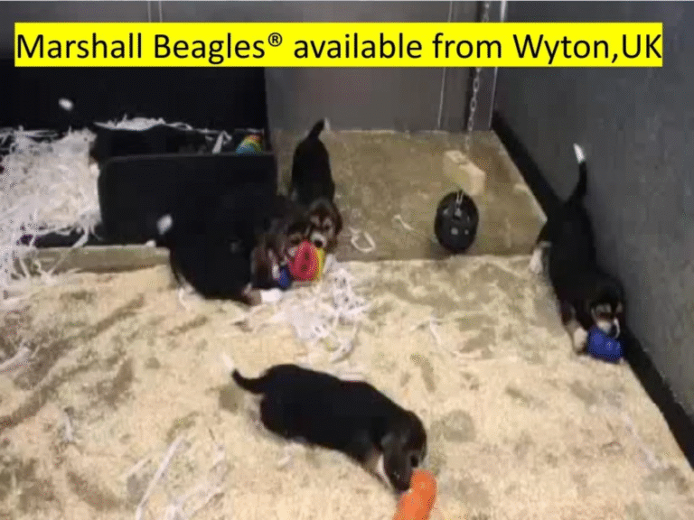 More Leaked Documents 7