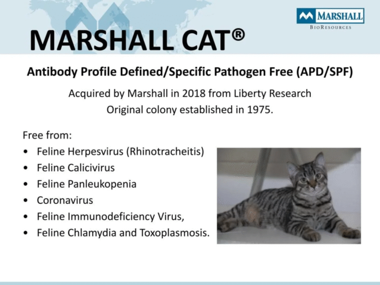 More Leaked Documents 9