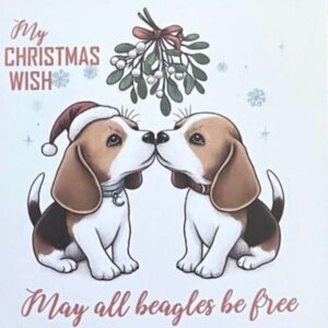 Viva La Vegan Christmas Cards