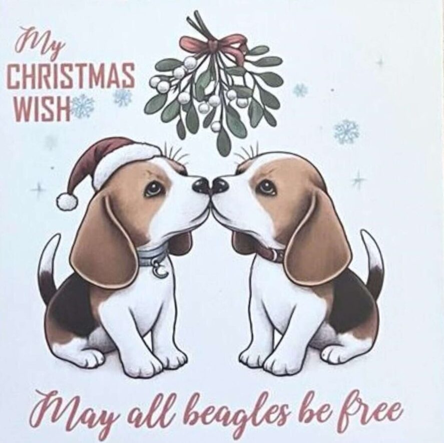 Viva La Vegan Christmas Cards