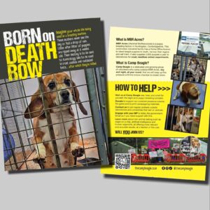 BODR Leaflets - 100 pack