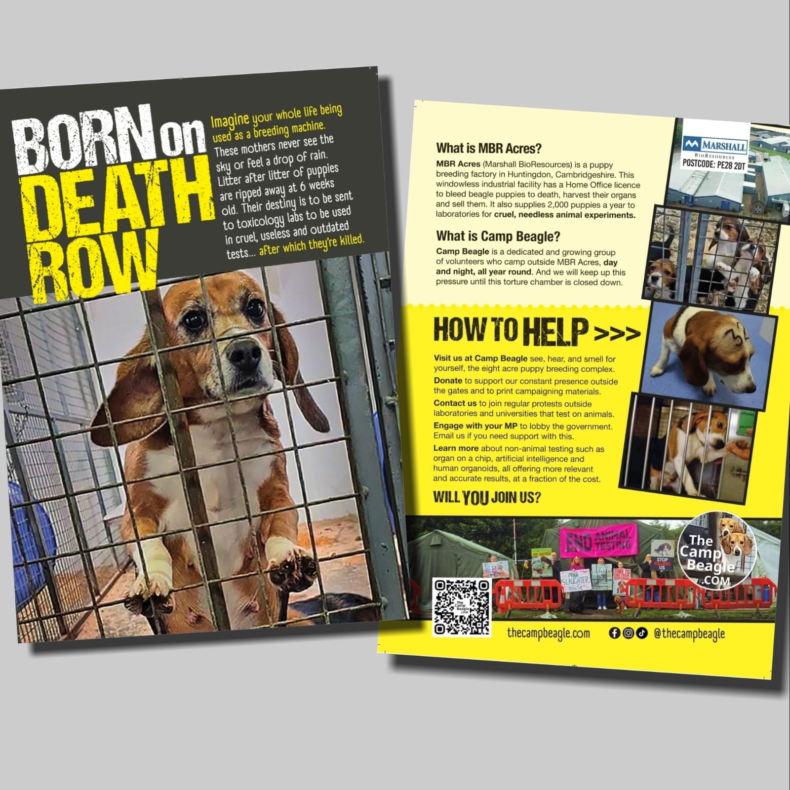 BODR Leaflets - 100 pack